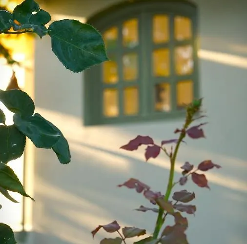 La Casa Nonna Альшоэрш